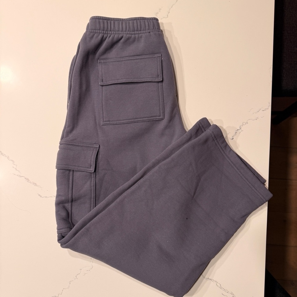 ARITZIA Mega Fit Cargo